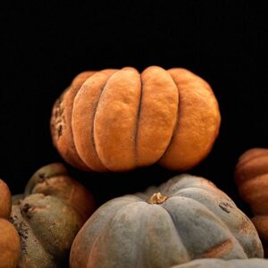 pumpkins 8350480 1280 11